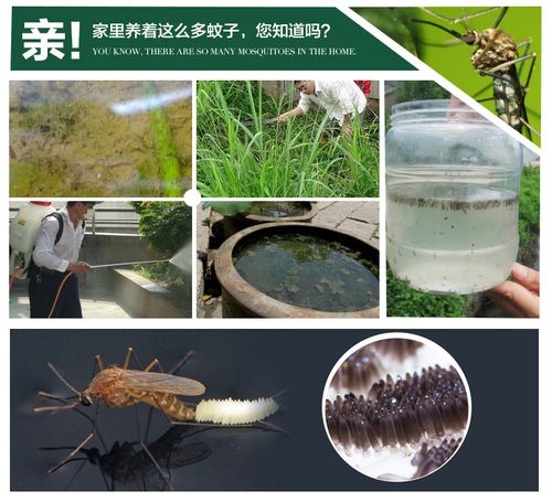 永通太陽能戶外滅蚊燈電擊式led滅蚊器捕蚊燈器 防水光控無輻射